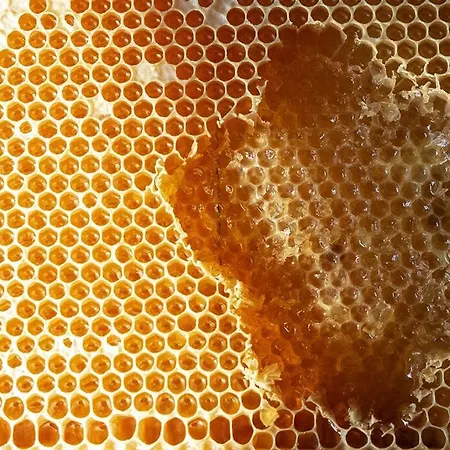 “all'antica Dogana” Alloggio per agriturismo *