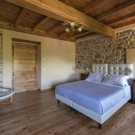 “all'antica Dogana” *