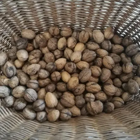 “all'antica Dogana” Farm stay *