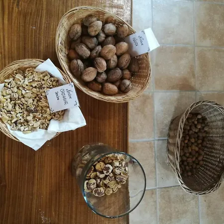 “all'antica Dogana”