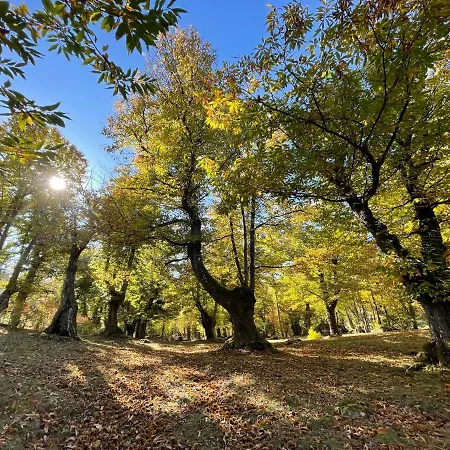 “all'antica Dogana” * Bosco (Parma)