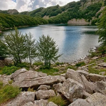 “all'antica Dogana”