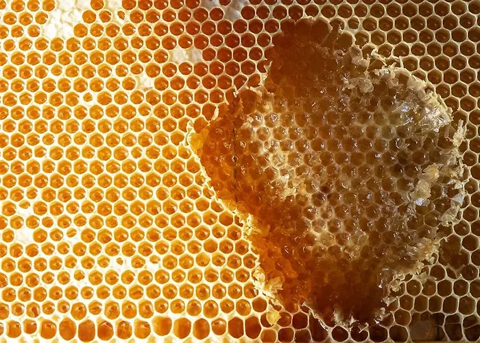 “all'antica Dogana” Alojamento de Turismo Rural *