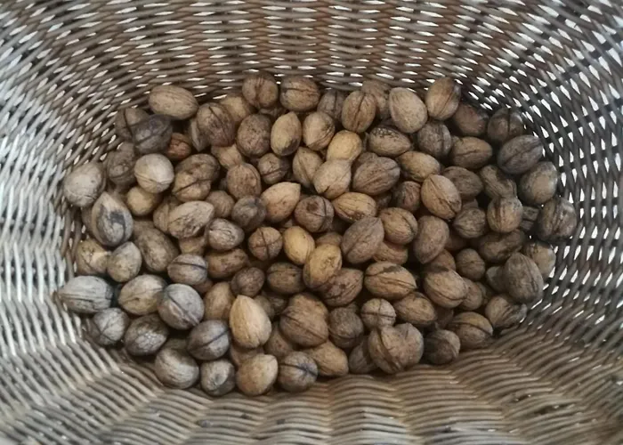 “all'antica Dogana” Alojamento de Turismo Rural *