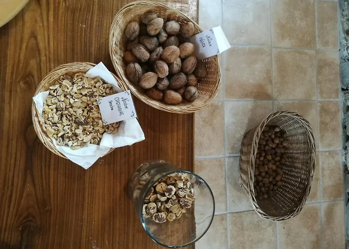 “all'antica Dogana”