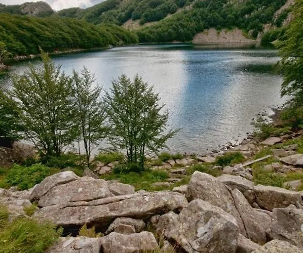 “all'antica Dogana”